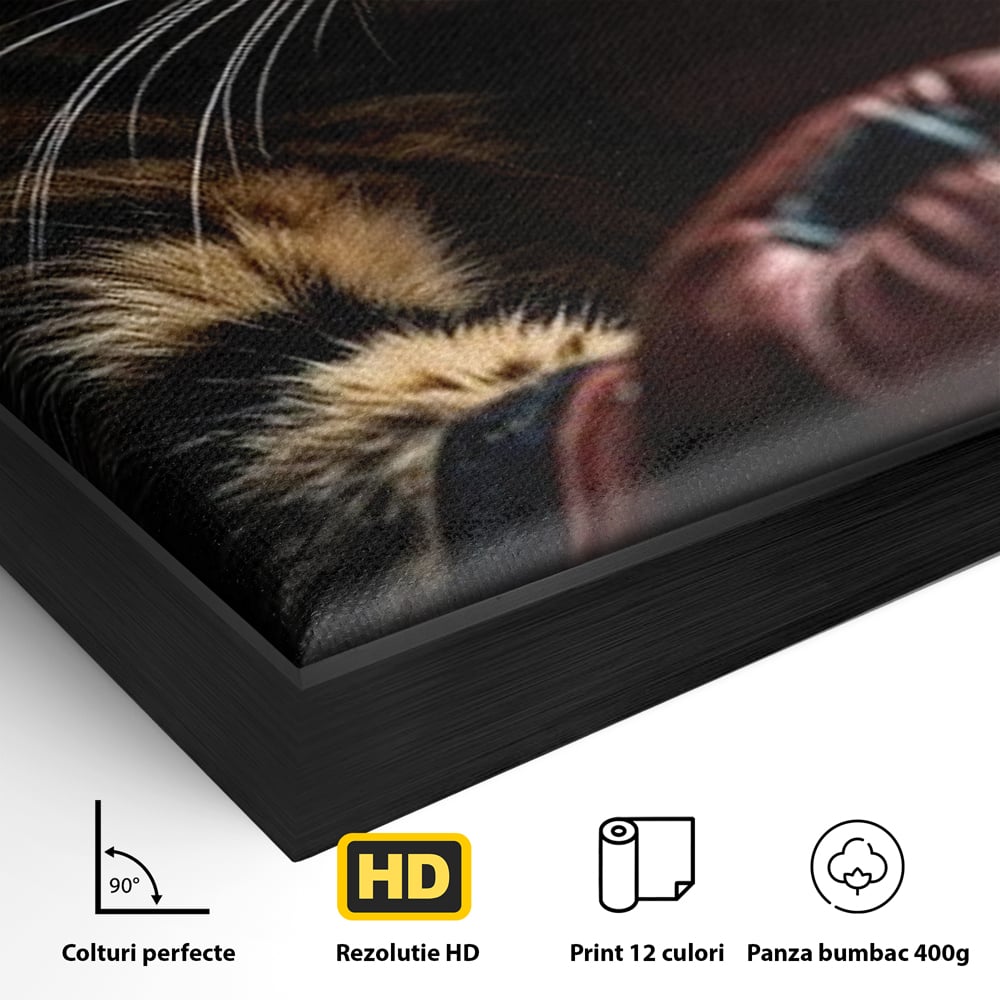 Detaliu al suprafetei: tablou canvas cu motan boxer, in rama de aluminiu negru